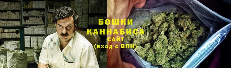 Бошки марихуана Bruce Banner  Гвардейск 